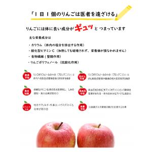 りんご リンゴ 林檎 ringo 数量限定 2...の詳細画像3