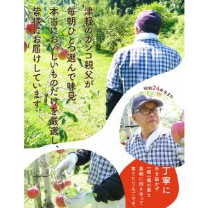 りんご リンゴ 林檎 ringo 数量限定 2...の詳細画像4