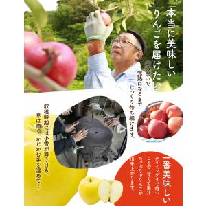 りんご リンゴ 林檎 ringo 数量限定 2...の詳細画像5