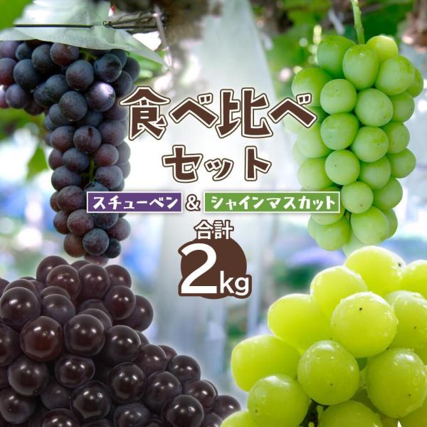 ぶどう ブドウ 2025年産 数量限定 青森県産 完熟 スチューベン シャインマスカット 合計 2k...