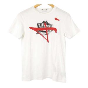 ディオール ローズ プリント Tシャツ ディオールオム 633J654I0511  