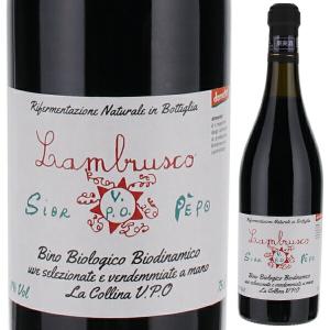 バローロ プレヴェ 1996 ジャンニ ガリアルド 750ml 赤 送料