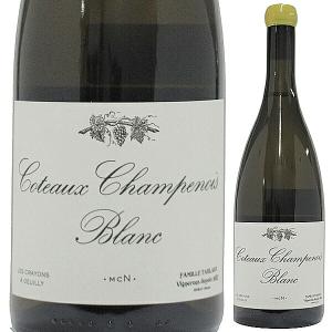 コトー シャンプノワ ルージュ グラン ピクー 2019 タルラン 750ml  