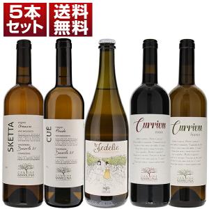 樽ハイ倶楽部 レモンサワーの素 コンク 40度 1800mlペット : リカーズ