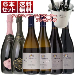 豪華ワインクーラープレゼント付き！100年続くアルトアディジェの造り手「ケットマイヤー」泡白赤6本セット  (750ml×6) 同梱不可  送料無料