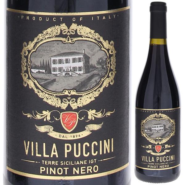 ピノ ネロ 2022 ヴィラ プッチーニ 750ｍｌ  赤  よりどり6本から送料無料