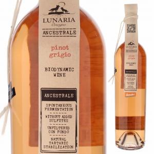 白ワイン フランス ディディエ ダグノー XXI ヴァン ド 2021 750ml