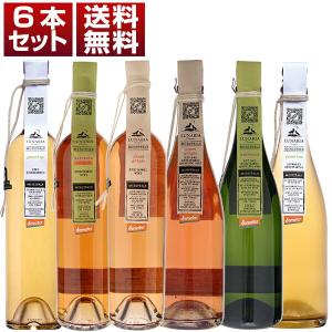 創業百周年記念 本格焼酎 百瑠璃(赤瑠璃・白瑠璃) 900ml×2本 芋焼酎