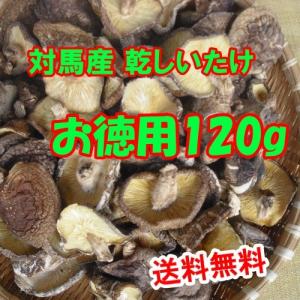 対馬産 原木乾しいたけ 徳用120g　新鮮　生産者直売｜tusimasiitake-store