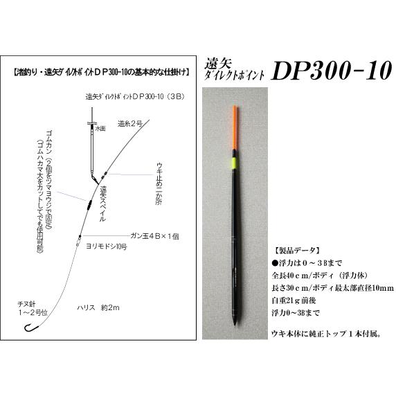 遠矢ウキ 遠矢ダイレクトポイント DP-300-10 2B