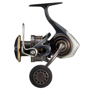 DAIWA（ダイワ） スピニングリール BG SW 5000D-CXH 23年モデル : 釣具
