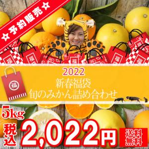 (福 05)(予約)★受付は1/16まで★　新春福袋  -旬のみかん詰め合わせ- 5kg　(※発送は1月中旬頃〜入荷次第順次発送)(多少の枝傷・葉傷・黒点等あり)