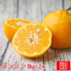 フレッシュ つちやま - Yahoo!ショッピング