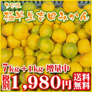 ちび玉極早生吉田みかん7kg+1kg増量中！（サイズ3s〜2s）cg8c【送料無料】