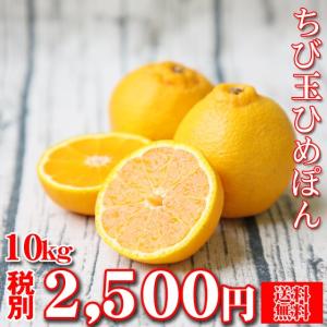 (fちびひめ 10) ちび玉ひめぽん 10kg  (不知火・でこぽんと同品種) (多少の葉傷・黒点が含まれます)(大小サイズ込み)(送料無料)みかん 不知火 でこぽん デコポン