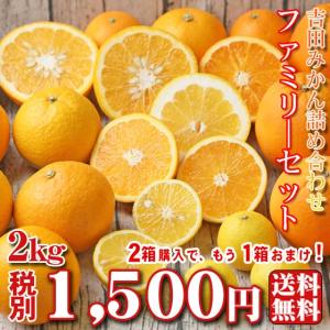 (f 02)吉田 みかん 詰め合わせ ファミリーセット2kg ※2箱購入頂くと1箱おまけ付きで3箱でお届けします(葉傷・黒点が含まれます)(基本送料無料)
