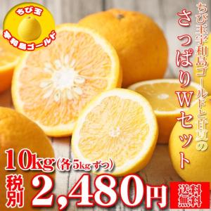(fちび玉ゴ甘 10) ちび玉宇和島ゴールド と 甘夏 のさっぱりＷセット 10kg (葉傷・枝傷・黒点のあるものが含まれます)(愛県産)(基本送料無料)河内晩柑 甘夏