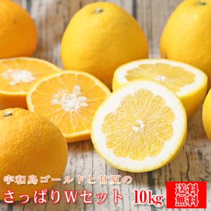 予約販売） 朝掘り筍（たけのこ） 8kg（約8本程） （※アク抜き用の糠