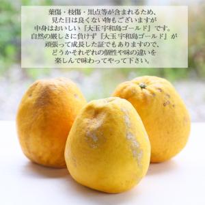 今だけプラス3kg!f大玉ゴ 07大玉 宇和島...の詳細画像4