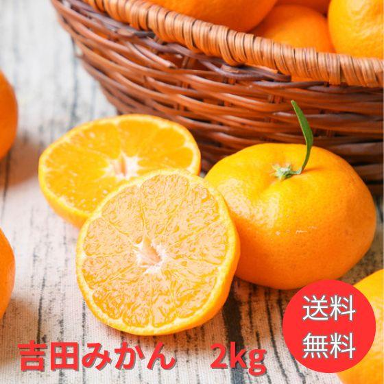 みかん　吉田みかん　2ｋｇ　ｆ吉０2　家庭用　サイズ込み　愛媛　吉田　果物　フルーツ　柑橘　ミカン　...