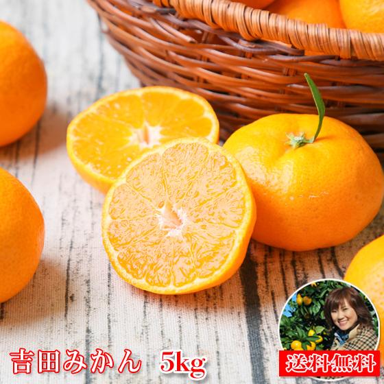 みかん　吉田みかん　５ｋｇ　ｆ吉５　家庭用　愛媛　吉田　果物　フルーツ　柑橘　ミカン　蜜柑　　訳あり...
