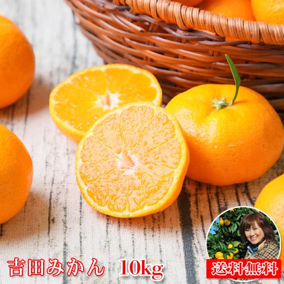 みかん　吉田みかん　１０ｋｇ　ｆ吉１０　家庭用　愛媛　吉田　果物　フルーツ　柑橘　ミカン　蜜柑　　訳...