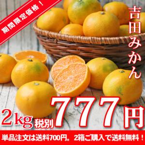 (f吉 02)吉田みかん 2kg ★これで最後だ！衝撃価格★ ※2箱購入で送料無料。単品注文は送料700円 (多少の枝傷・葉傷・黒点有り)(家庭用・2S〜2Lサイズ込み)