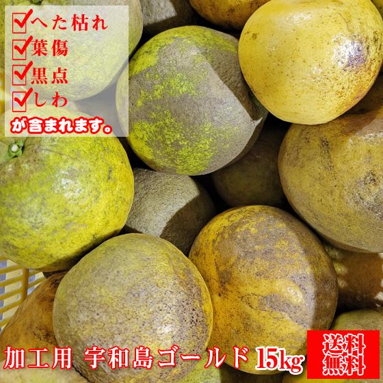 みかん　河内晩柑　訳あり　加工用　宇和島 ゴールド　１５ｋｇ　加工ゴ１５　（サイズ込）　傷　黒点　ヘ...