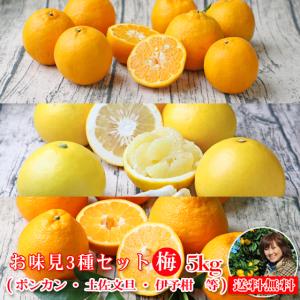お味見3種セット (梅) 5kg (f梅 05)...の商品画像
