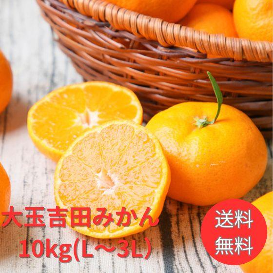 みかん　大玉吉田みかん　１０ｋｇ　大玉ｆ吉１０（L〜3L）　家庭用　愛媛　吉田　果物　フルーツ　柑橘...