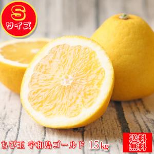 みかん 河内晩柑 訳あり 果物 フルーツ (★Sサイズ★)ちび玉 宇和島 ゴールド 15kg (fちびゴ s15)(葉傷・枝傷・黒点のあるものが含まれます)(送料無料)柑橘 小玉