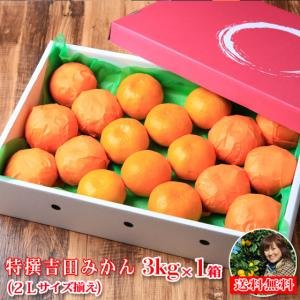 フレッシュ つちやま - Yahoo!ショッピング