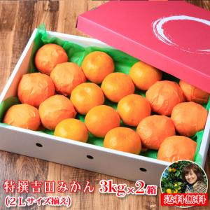 フレッシュ つちやま - Yahoo!ショッピング