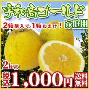 (Fゴ2) 宇和島ゴールド2kg （家庭用・サイズＭ〜２Ｌ込） 2箱購入で1箱おまけ！※多少の葉傷・黒点あり 河内晩柑 美生柑 (基本送料無料)