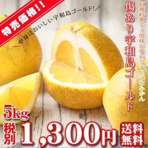 (W傷ゴ 05)傷あり 宇和島ゴールド 5kg (訳あり・葉...