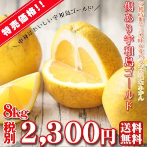 (W傷ゴ 08)傷あり 宇和島ゴールド 8kg (訳あり・葉傷・枝傷・黒点のあるものが含まれます)(基本送料無料)河内晩柑 みかん