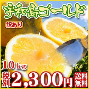 （Wゴ10） 宇和島ゴールド10kg （厳選農園・ワケあり・サイズ込） 河内晩柑 美生柑 愛南ゴールド （基本送料無料）