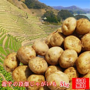 フレッシュ つちやま 商品一覧 おすすめ順 売れ筋通販 Yahoo ショッピング