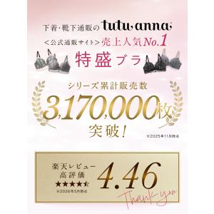 ブラジャー 大きいサイズ ワイヤー入り 特盛ブ...の詳細画像2