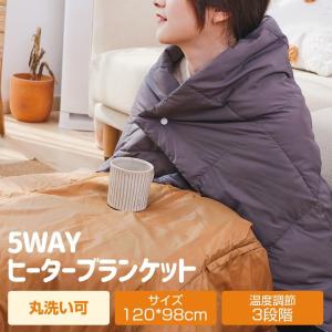 電気毛布 電気ブランケット 羽織る毛布 電気ひざ掛け  3段階温度調節 USB給電タイプ ふわふわ膝掛け 防寒対策 冷え予防 暖かい冬用 冷房対策 丸洗いOKおしゃれ