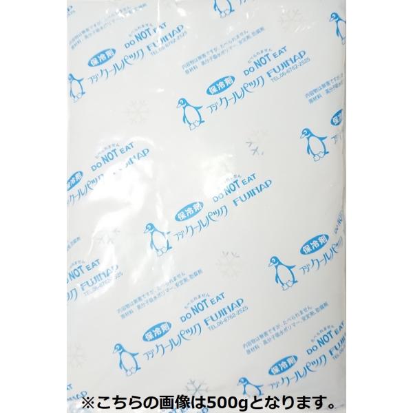 保冷剤 フジクールパック 200g フィルムタイプ (クリックポスト対応品)