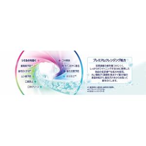 薬用シュミテクトコンプリートワンEXプレミアム90gの詳細画像1