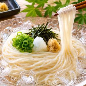 ゆっくり払い 食品 商品券使える商品 うどん ...の詳細画像5