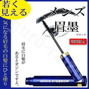 ビナ メンズ眉墨 アイブロウ アイブロー メン...の詳細画像2