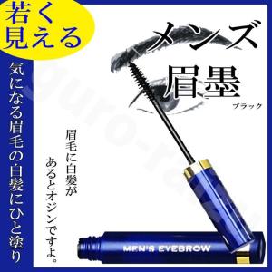 【ポスト投函送料無料】メンズ眉墨 ブラック ア...の詳細画像2