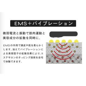 TILLET ティレット 頭皮ケア 美顔器 育...の詳細画像5