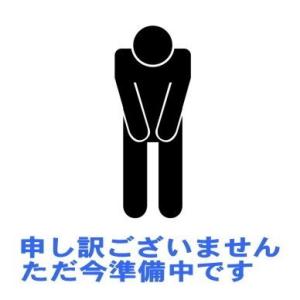 ピーコック部品：ストラップ（イエロー色）/AKD-STR-GMスポーツマグAKD-RS100-GM用...