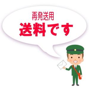 ：メール便再発送券/MAIL-SAI-TICKET