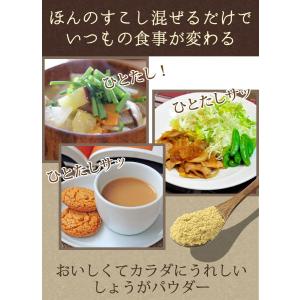 3/11までP最大13倍 国産 しょうがパウダ...の詳細画像2