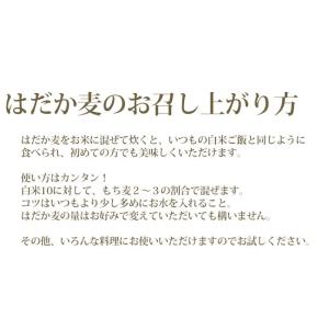 7/10までP最大13倍 国産 大麦 押はだか...の詳細画像5